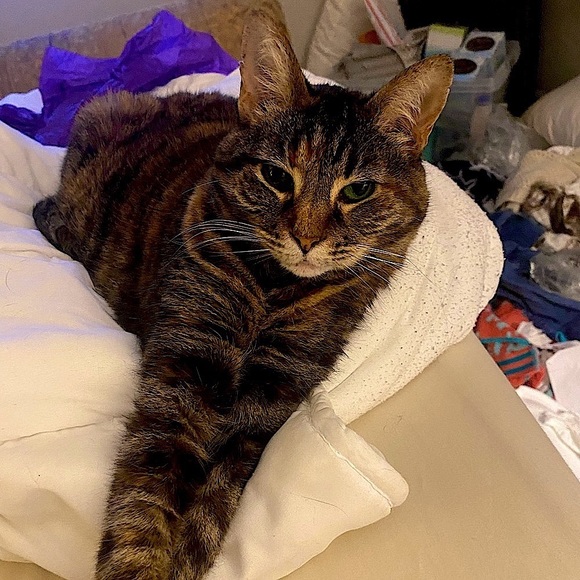 Meet your Posher, Christine - Picture 11 of 11